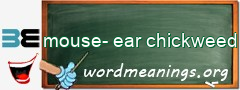 WordMeaning blackboard for mouse-ear chickweed